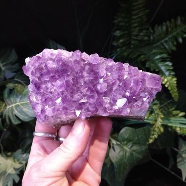 Amethyst Cluster