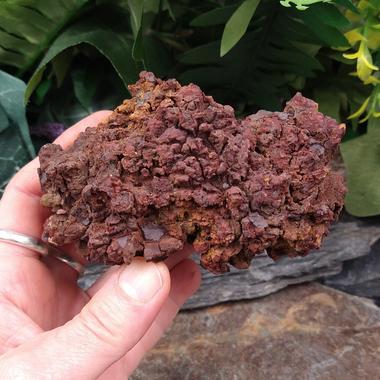 Coprolite specimen