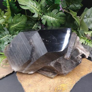 Large Smoky Quartz Cluster